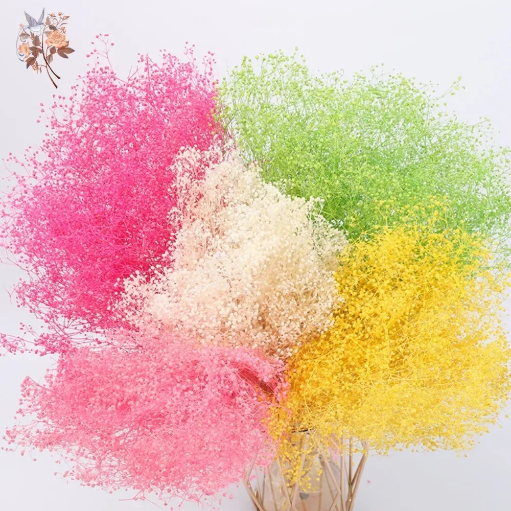 מאגר הקופונים הסודי של עליאקספרס! 300+ קופונים למוצרים מבוקשים! 1579 S2049ebec0e854ac5adadd43f528b566ao