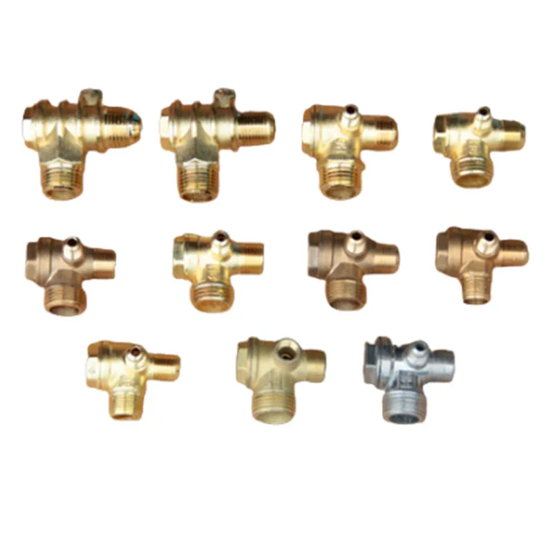 

Air Compressor Oil-free Machine Small Air Pump Check Valve