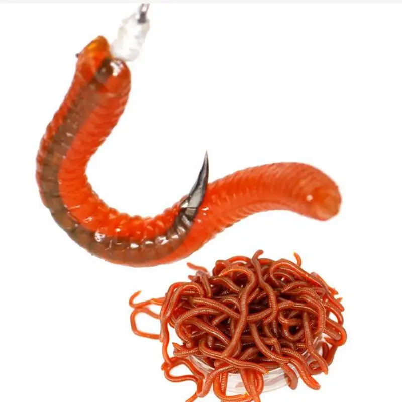 

Мягкая рыболовная приманка, бионическая поддельная дождевая червь, искусственная дождевая приманка в форме дождевого червя, приманки для ловли снаряжения, окуня, флейда, трески