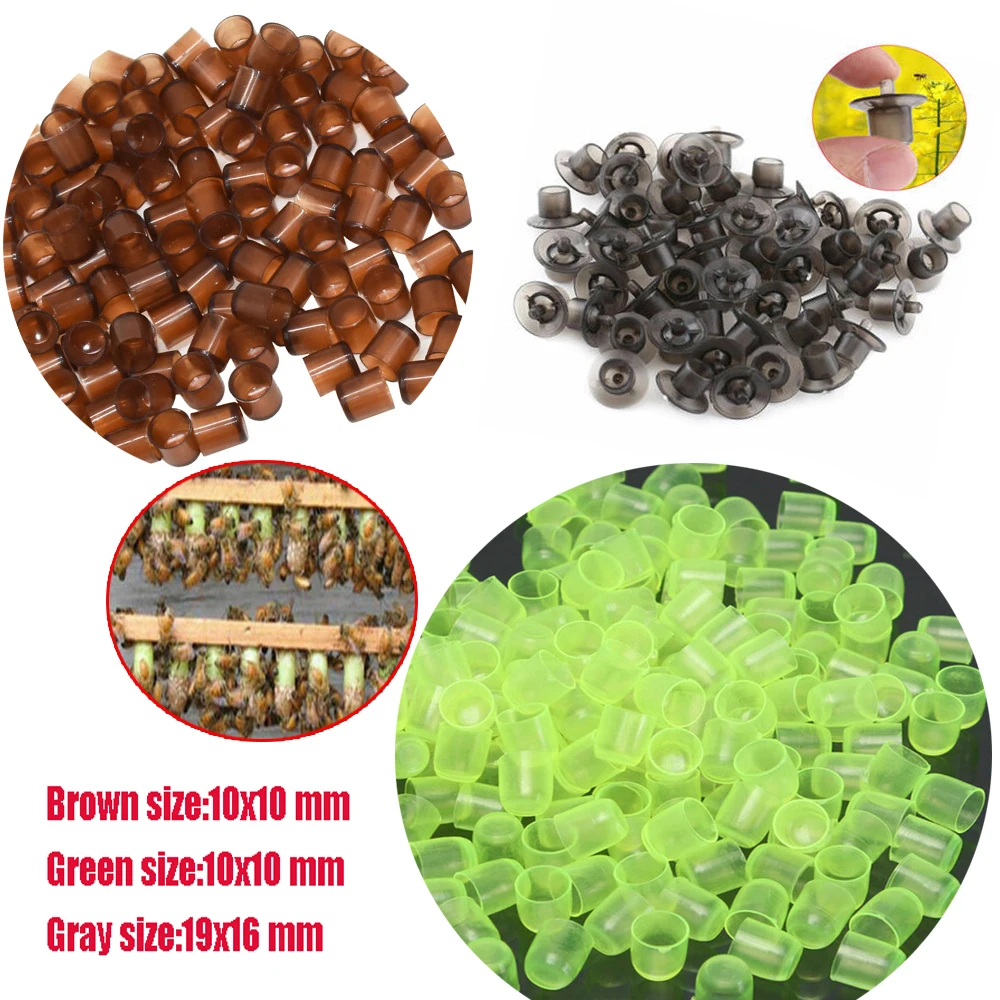 

50/100pcs Beekeeping Plastic Brown/Green/Gray Rearing System Cells Room Tools Cell Cage Cup Rear Breeding Apicultura Supplies