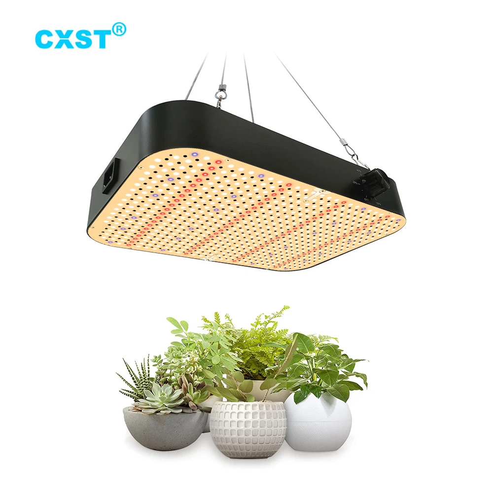 CXST LED Grow Light Full Spectrum Growbox CR600 Dimmable Phytolamp for Plants Indoor Lighting Greenhouse Hydroponic Waterproof