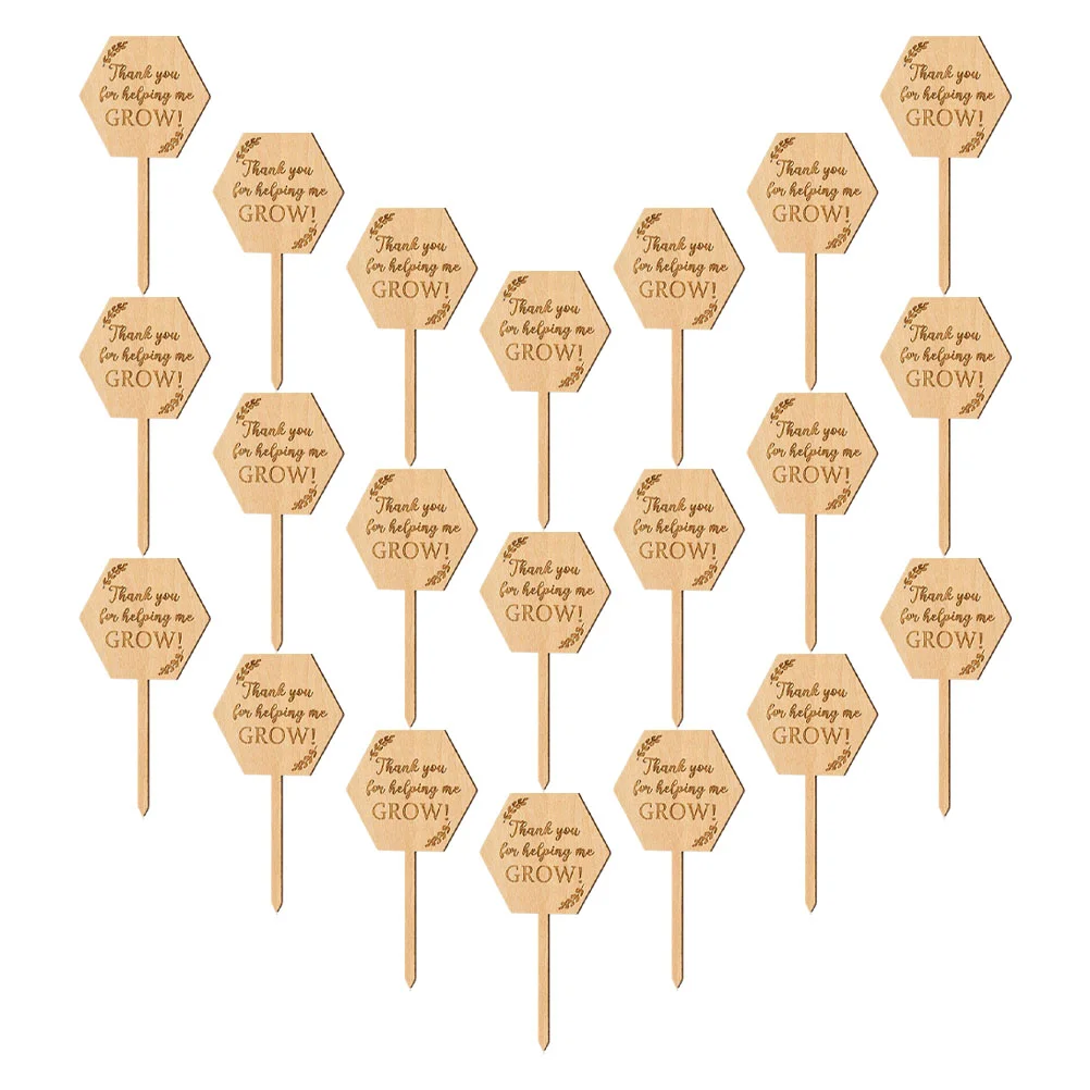 

Wood Gardens Tags Garden Potted Yard Signs For Plants Wood Labels For Plant Growth Succulent Lettering Floral Wood Inserts