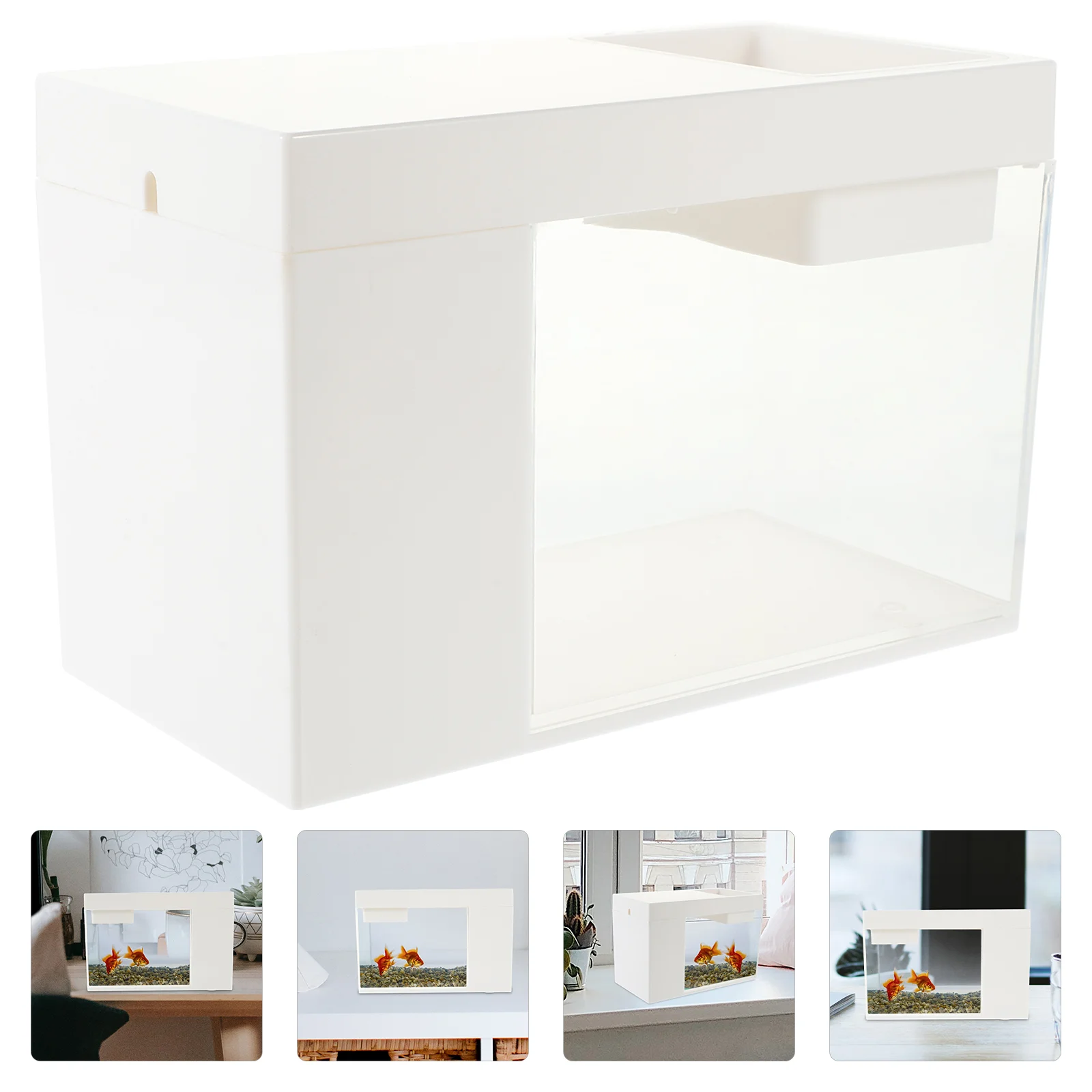 

Small Aquarium Desktop Tank for Office Home Room Decor Turtle Reptile Shrimp Moss Insects Habitat