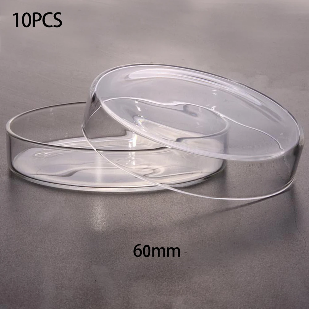 

Petri Dishes Fragile Clear Affordable Crisp Lab Supply 10pcs For Cell High Quality Chemical Instrument Polystyrene Sterile