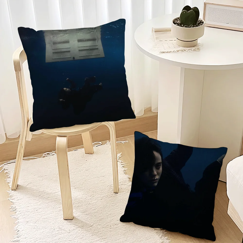 Наволочка Singer E-Eilish для дивана спальни гостиной офиса прикроватная тумбочка B-BillieS