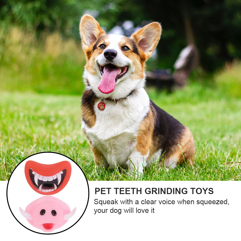 

1 Set 2pcs Novel Durable Decorative Molar Friends Co-worker Family