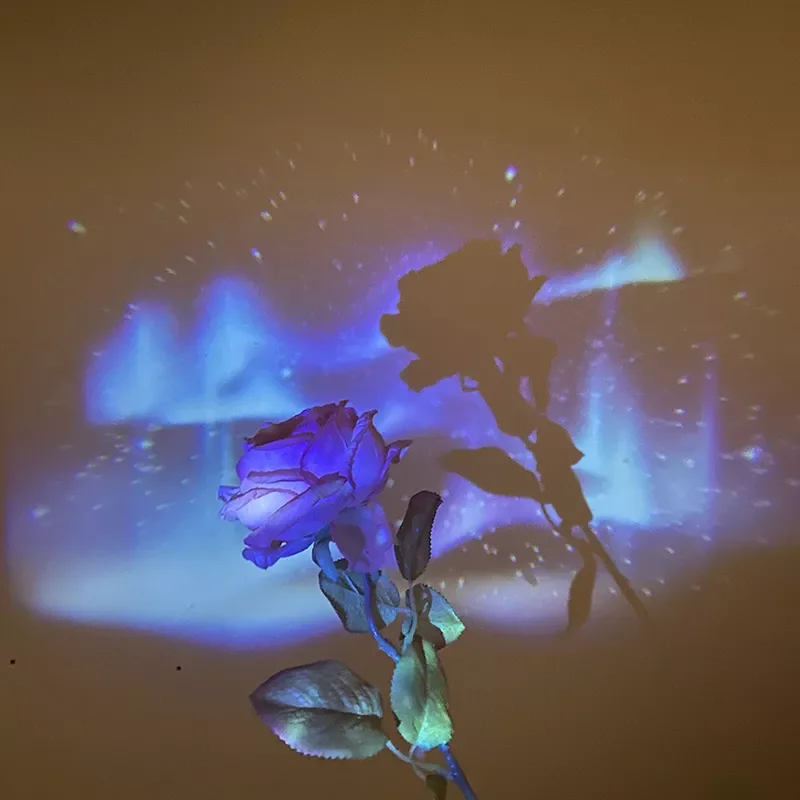 

Galaxy Light Projector Novelty Lighting Wall Aesthetics Art Bedroom Decorative Lamp Party Light Supplies Photo Props