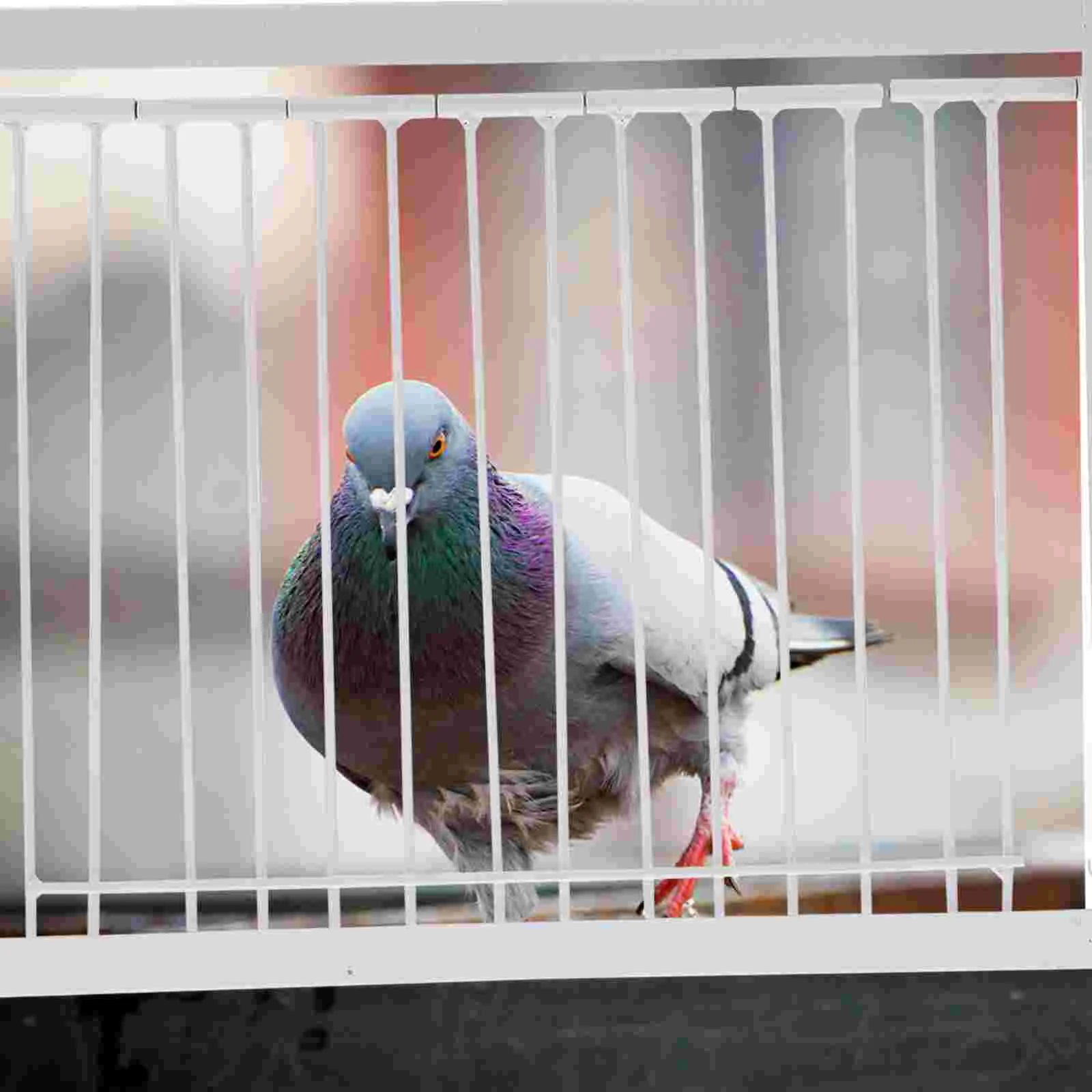 

Pigeon Door Frame Pigeon Loft Door Bird Supplies Pigeon Loft Traps Bird Trapping Door Bird Accessories Cages