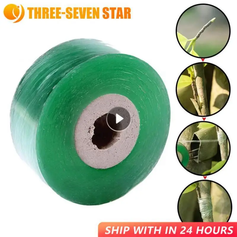 

PE Grafting Tape Film Self-adhesive For Fruit Tree Nursery Plants Seedlings Vine Floristry Tomato Grafting Supplies Stretchable