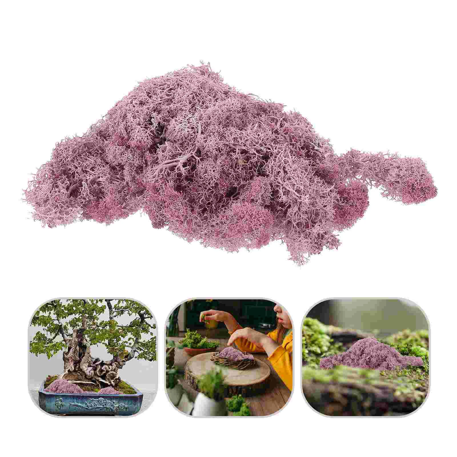 

Everlasting Moss Micro Landscape Potted Plants Ornament Dried Dry Centerpieces Decor