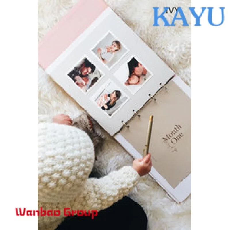 Рисунок 6 - Папка с 3 кольцами