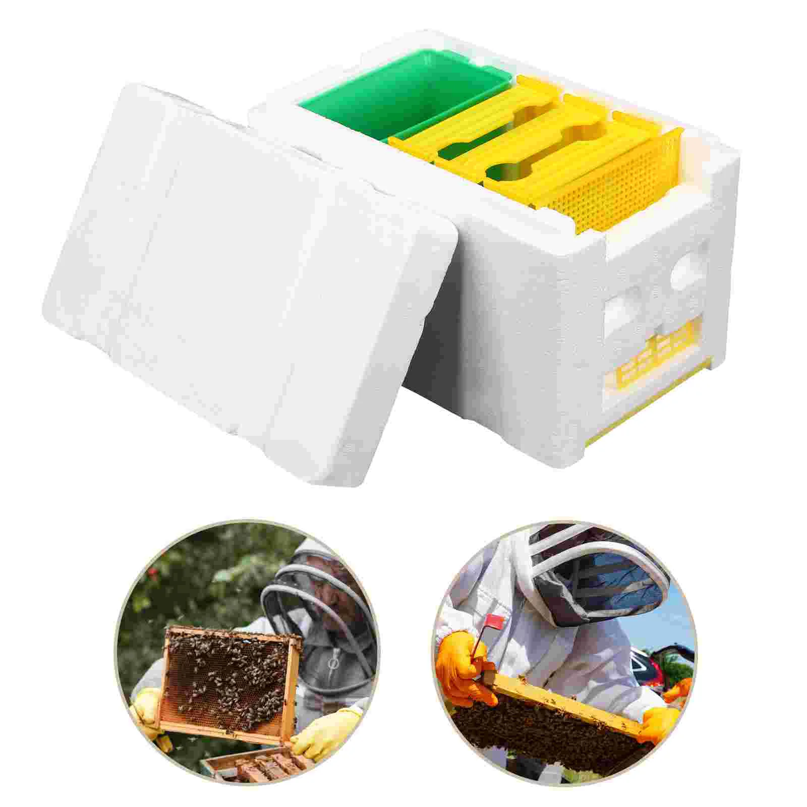 

Box Beehive Feeder Pollinating Mating Boxes Kit Bluebird Mealworms Plastic Breeding Assembled Honey Feeding Beekeeper Frame