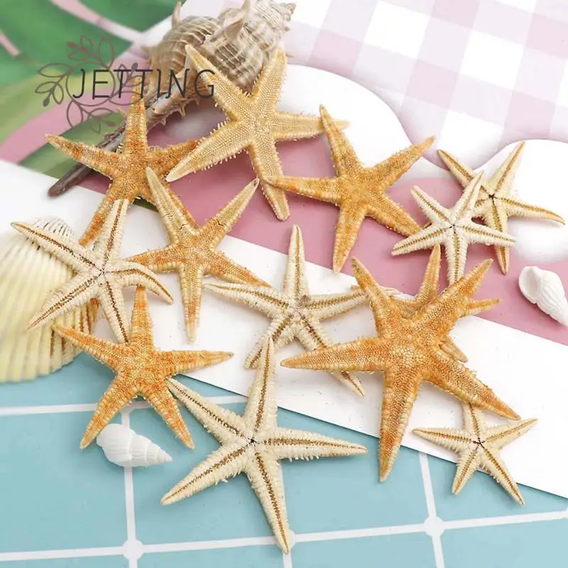 

100PCS Natural Starfish Seashell Beach Craft Natural DIY Wedding Home Decor