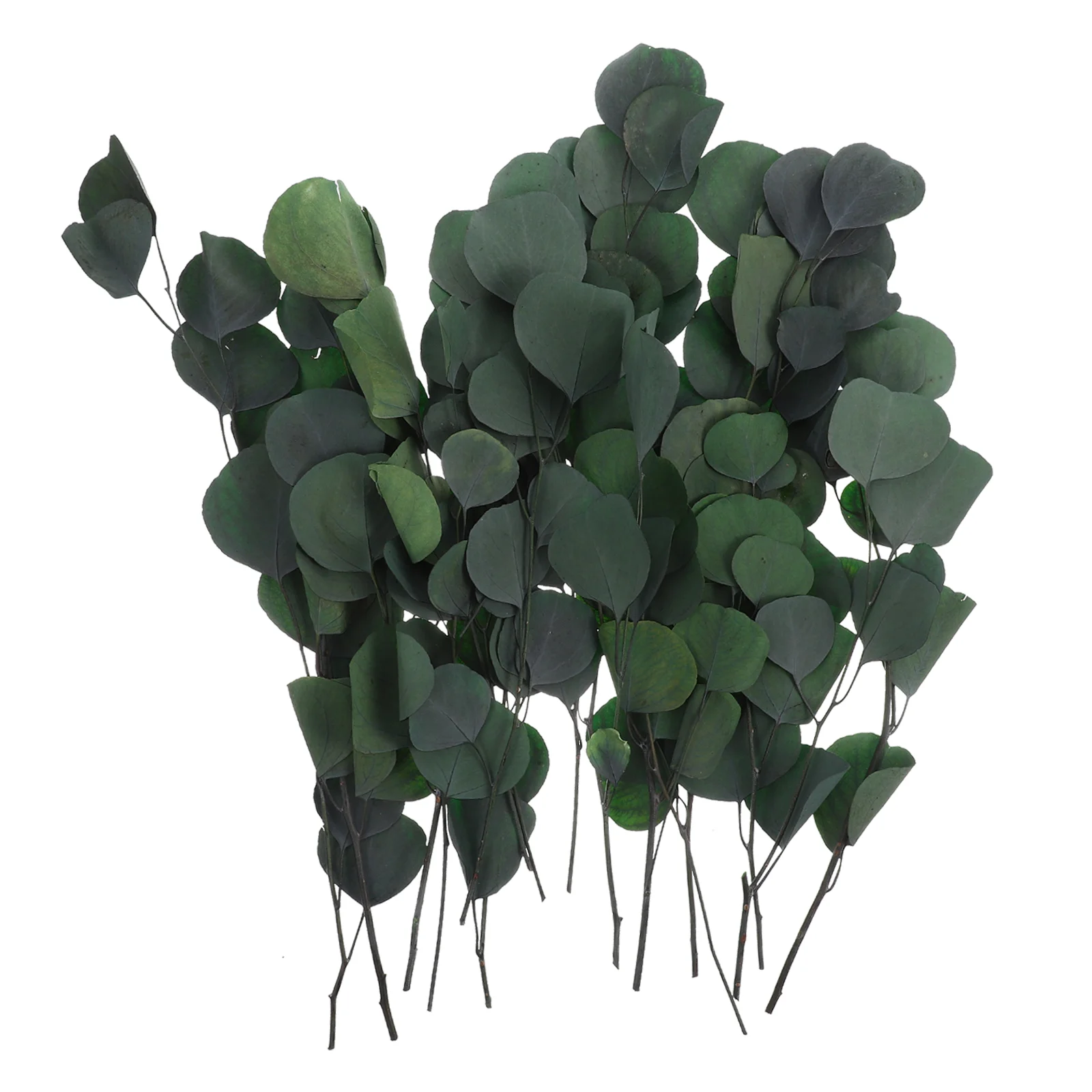 

Eucalyptus Artificial Stems Dried Real Garland Leaves Greeneryfake Faux Backdrop Ivy Green Branches Farmhouse Home Wall