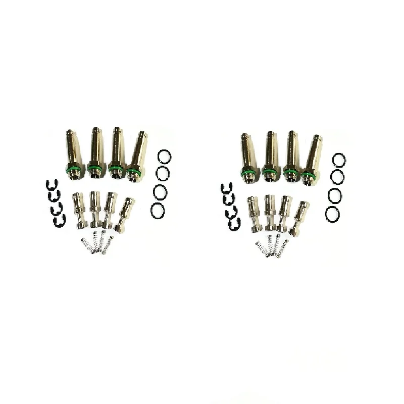 

2 Pack CNG Accessories Injection Rail Valve Barrel Valve Core Spring
