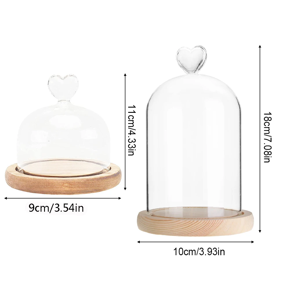 Стеклянная купольная колокольчик баночка с деревянной основой пылезащитная