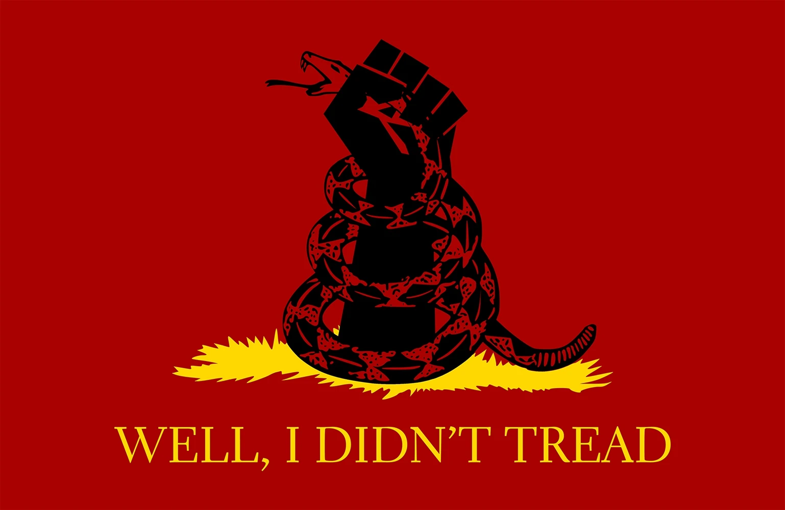 I didn't choose the thug life the thug life chose me. When you’re in. I didn t go to the party. Лозунги либертарианцев don't tread on me. Yesterday i went shopping with my sister i wanted to buy her something.