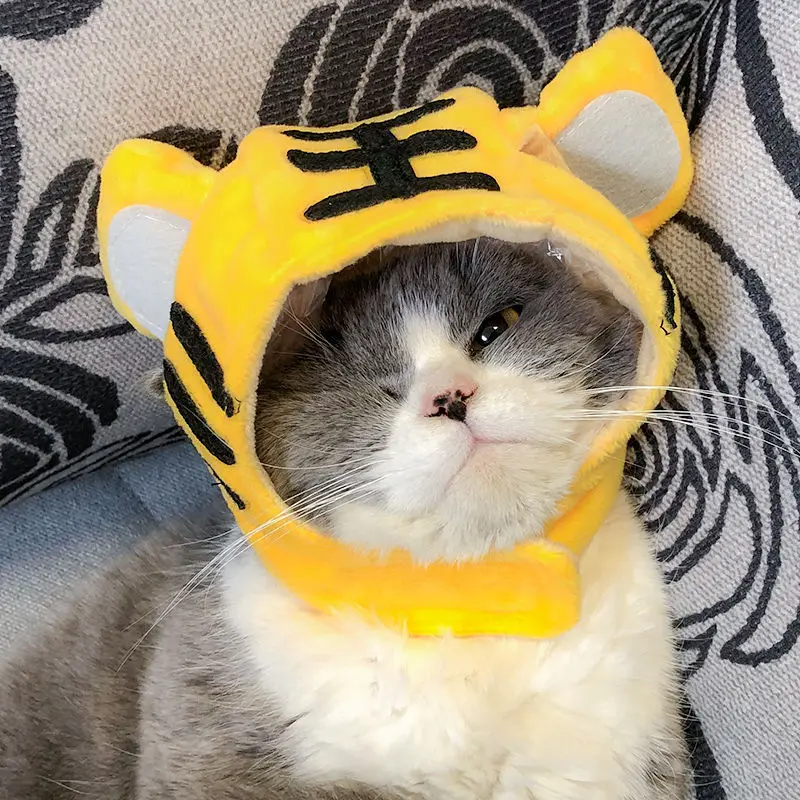 

Cat Hat Headgear Teddy Bomeifa Puppy Funny Hat Pet Dog Hat Headgear Supplies