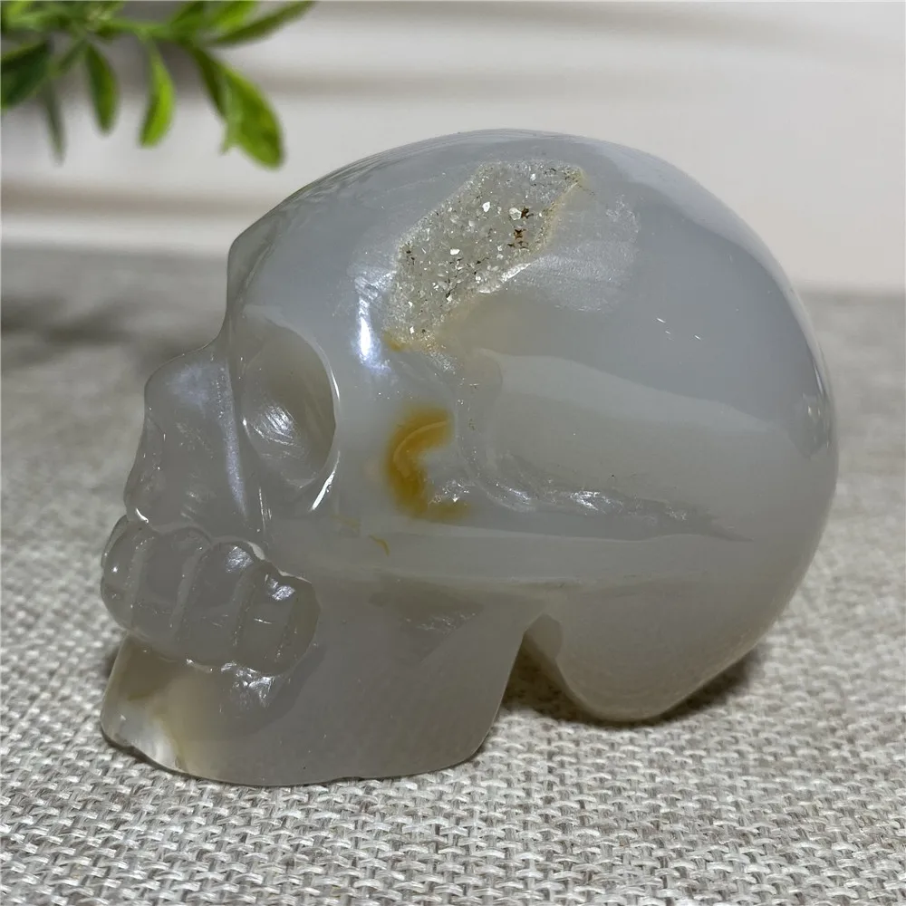 

Natural Agate Geode Cranium Quartz Crystal Skull Home Decor Souvenir FengShui Healing Gemstone Wicca Halloween Collection