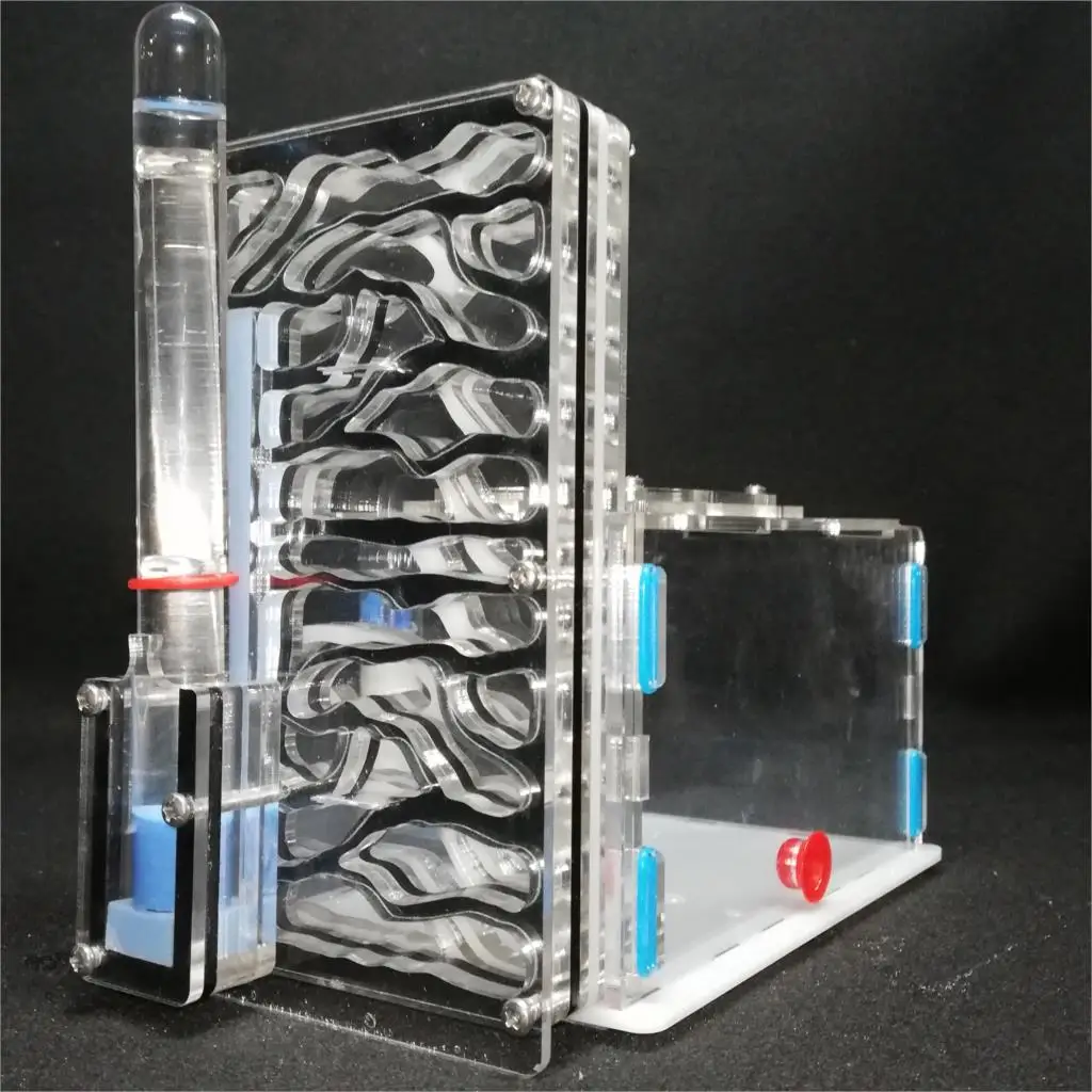 

With Feeding Area Ant Nest Ant Farm Acryl Insect Ant Nests Villa Pet Mania for House Ants Insect Acrylic Box Ant Ant Farm