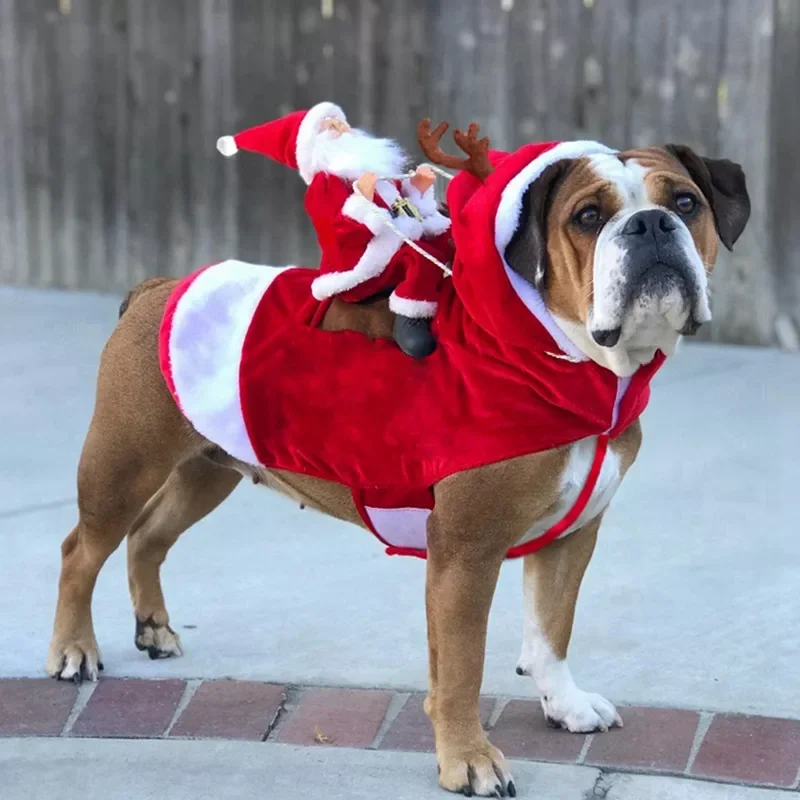 

Christmas Pet Dog Cat Costumes Funny Santa Claus Costume For Dogs Cats Novelty Dog Clothes Chihuahua Pug York shire Clothing