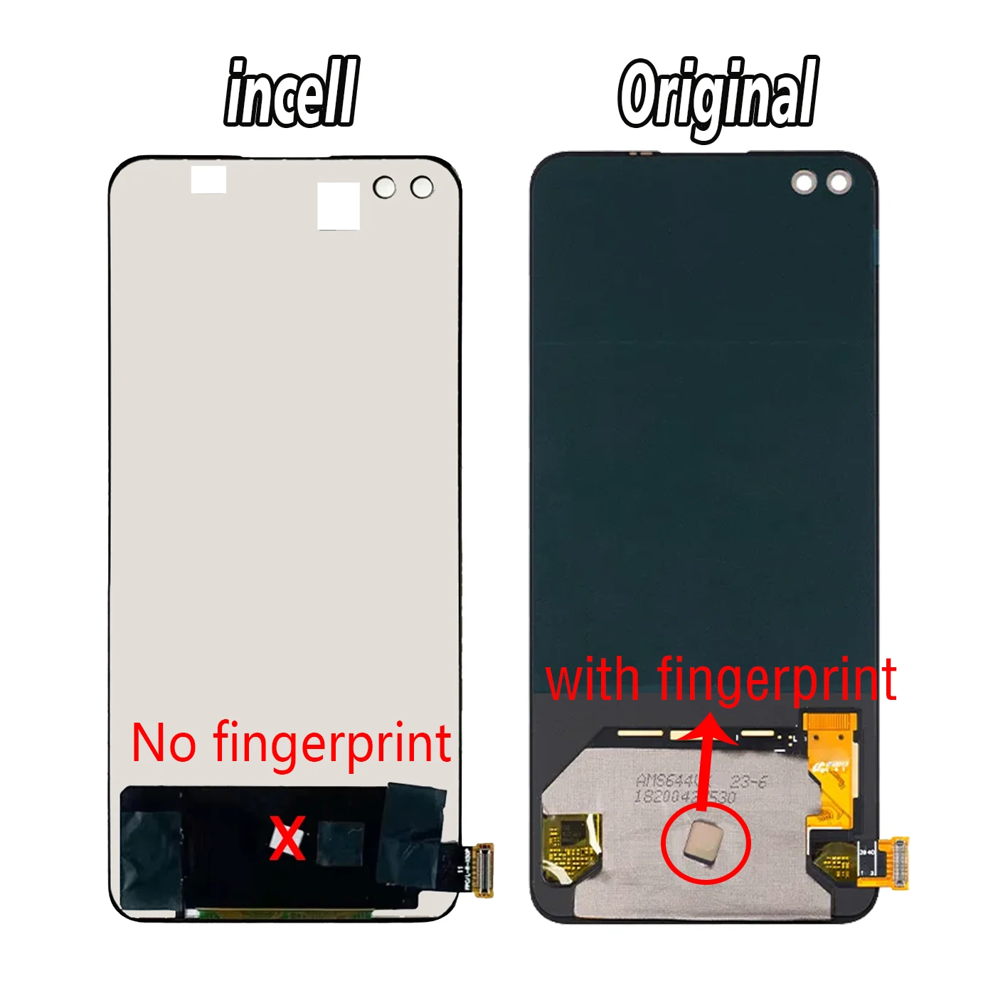thumb
