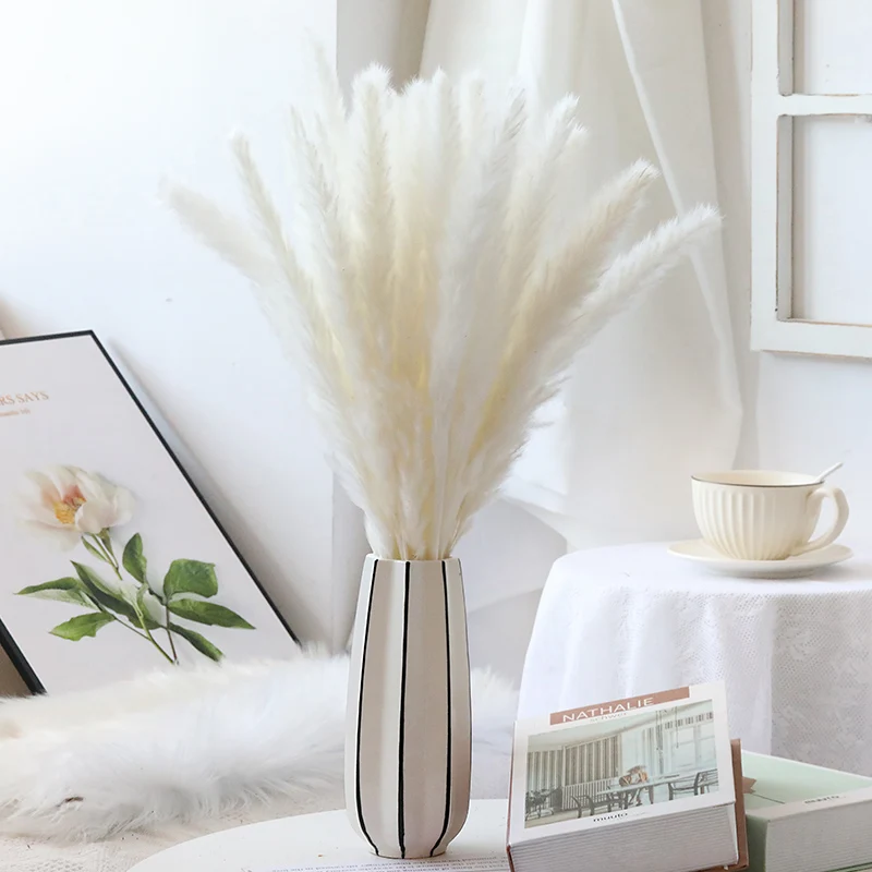 

Bulrush Natural Plants Dried Flowers Bunch Real Pampas Grass Rabbit Tail Decoration For Wedding Fall Christmas Home Decor