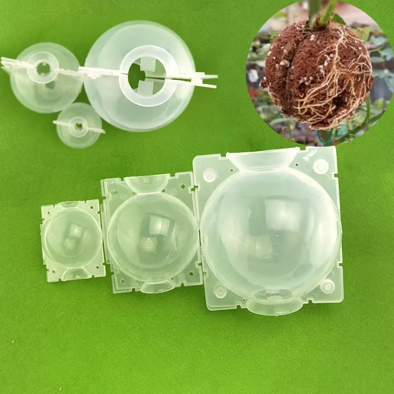 

12cm High Pressure Propagation Plant Rooting Ball root grow box Graft Breeding growing Case Transparent Planting Nursery C1