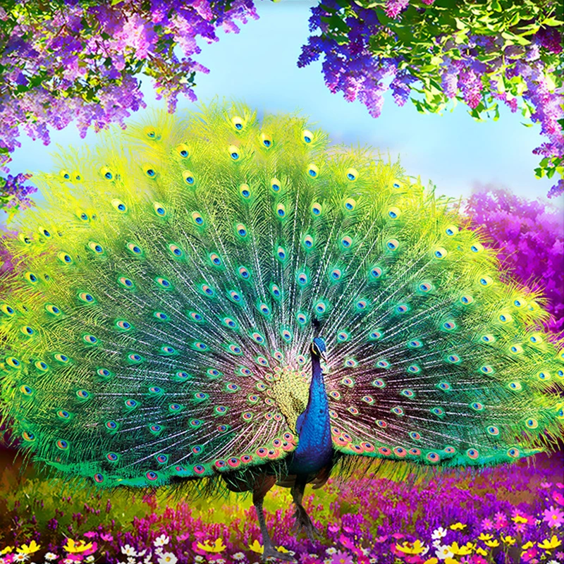 

5D Diamond Painting Peacock Flaunting Its Tail Diamond Art Embroidery Office Living Room Home Decor Diamond Cross Stitch Kits