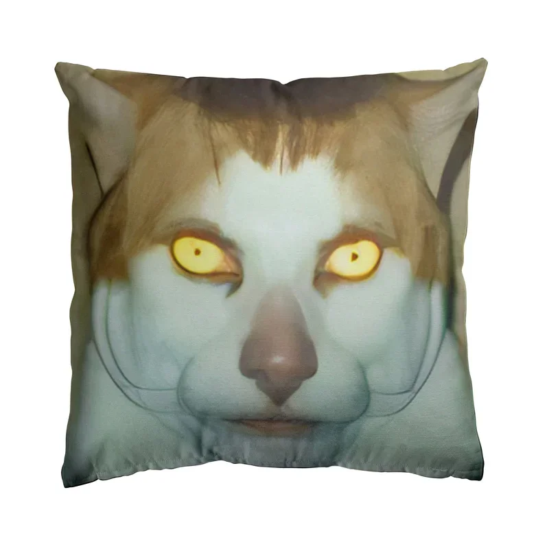 

Aertemisi 18'' x 18'' Monday Left Me Broken Cat Mr. Peebles Square Throw Pillow Cushion Covers Cases Pillowcases 45cm x 45cm
