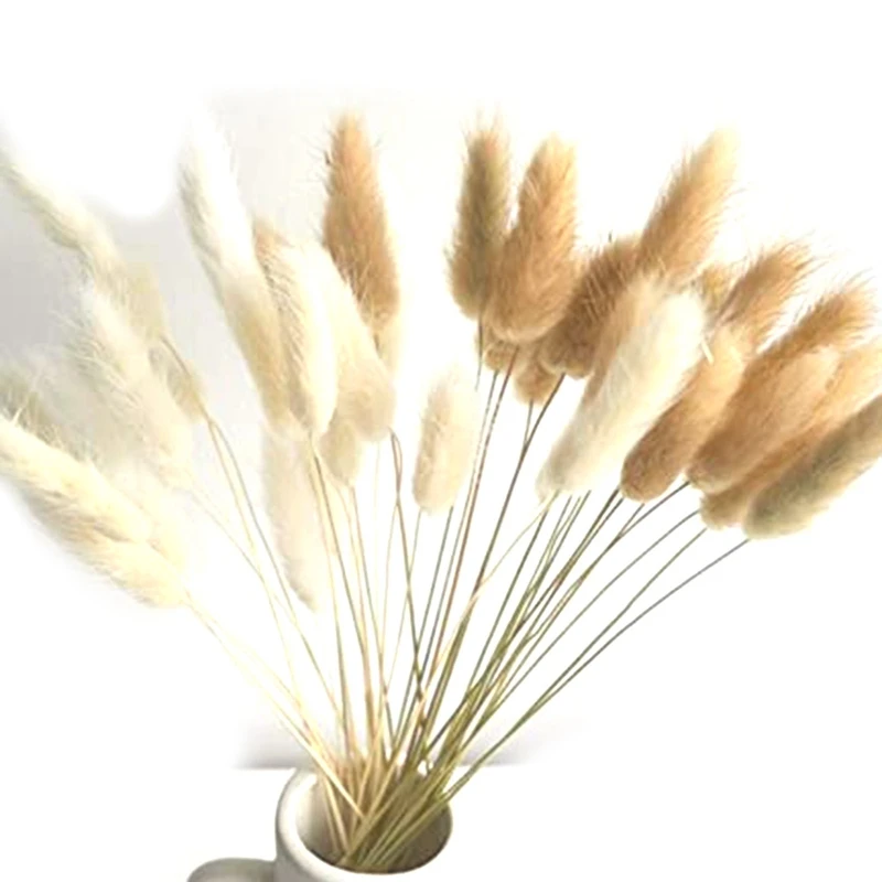 

BEAU-60Pcs (Mix Natural) Lagurus Bunny Tails Pampas Grass Decor For Home Decor 17.7Inches, Rabbit Tails Dried Flowers Bouquet
