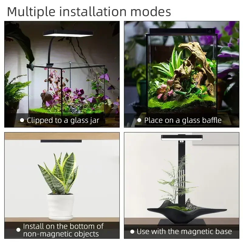 Фотоальбом WEEK AQUA USB для аквариума