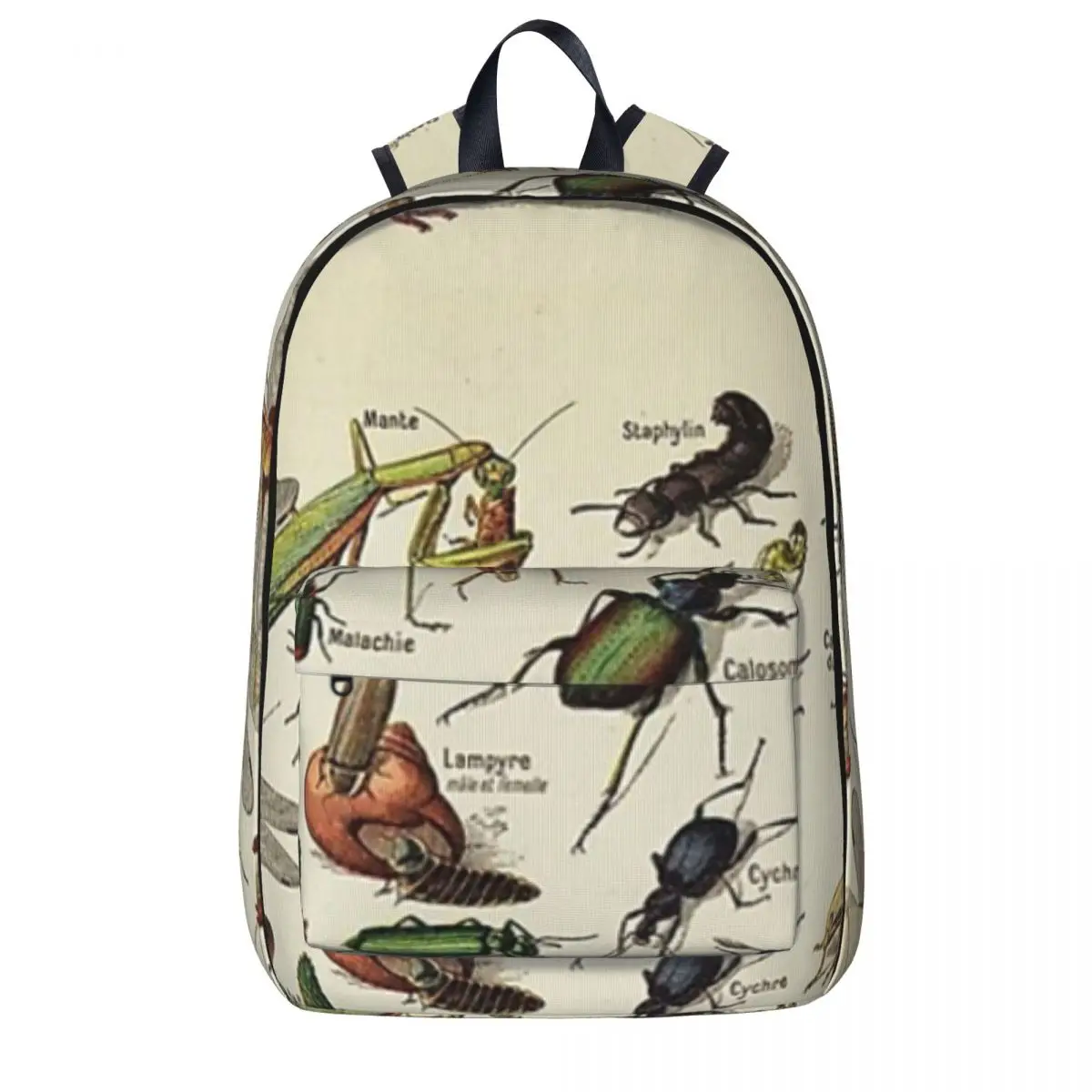 

Insects Chart. Scientific Illustration, Text In French Backpacks Boys Girls Bookbag Students School Bags Children Kids Rucksack