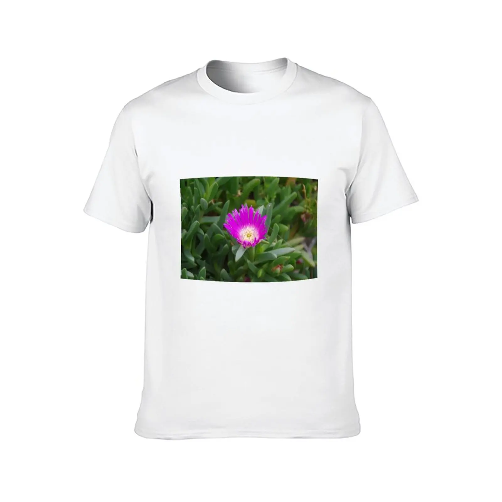 Фото Футболка Carpobrotus rossii (цветок пигфейс) — аниме-футболка для мужчин, 100% хлопок, люксовый бренд №2