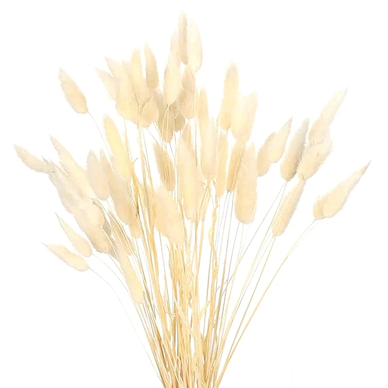 Акция! Сушеные хвосты кролика натуральные цветы композиции для свадьбы букет