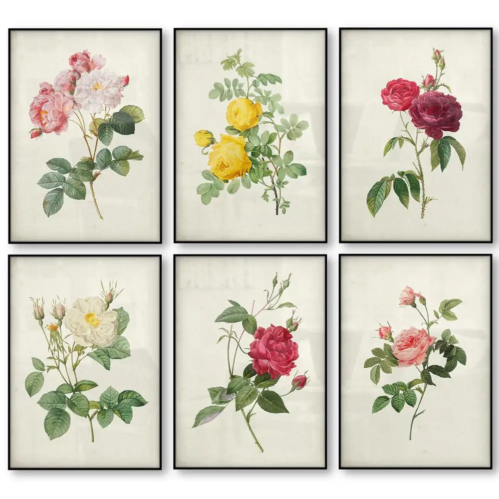 Affiche sur toile avec Rose botanique fleur Vintage rouge jaune blanc Floral Art mural Antique peinture décor de