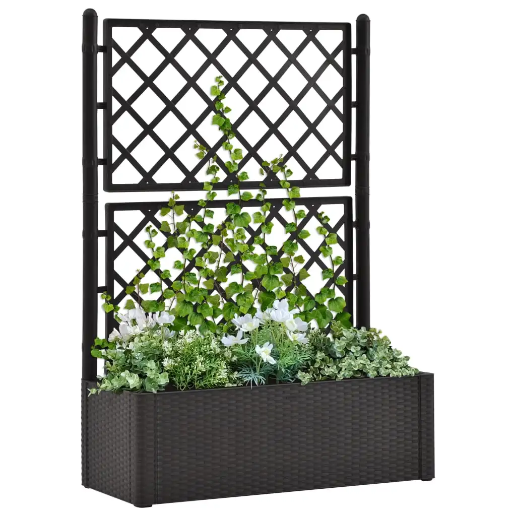 

Garden Raised Bed with Trellis and Self Watering System，Garden Planters, Patio Plant Pots, Anthracite