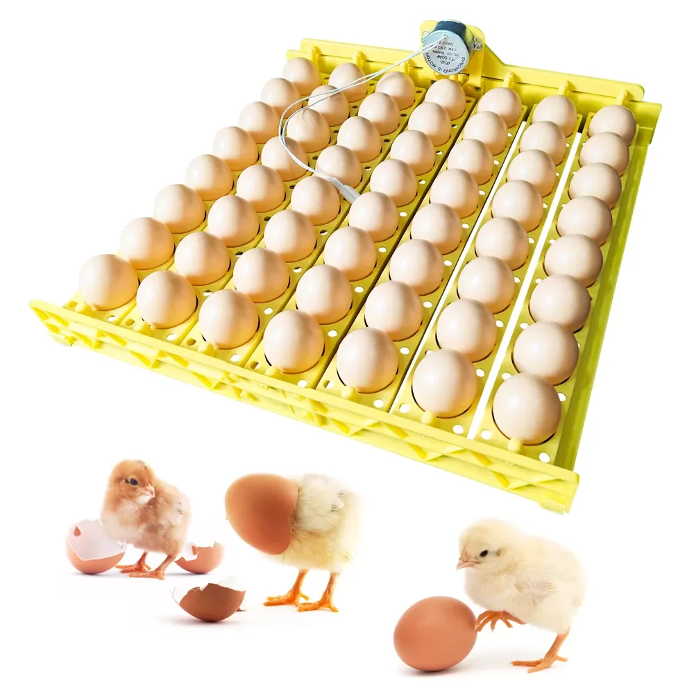 

Многофункциональный 56 пластиковый инкубатор яиц поворот яиц с мотором для куриных уток яиц инкубационное оборудование
