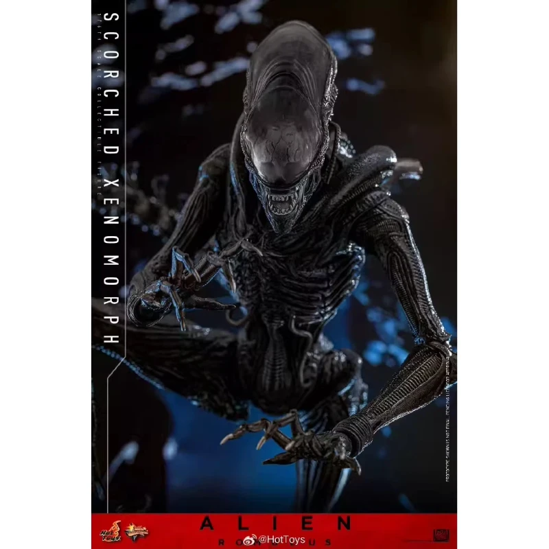 Коллекционная фигурка HotToys HT 16 Scorched Xenomorph MMS784 Alien Romulus, подвижная модель для коллекционеров фигурок. (art.: 3920d92cfdd94) - 3920d92cfdd94