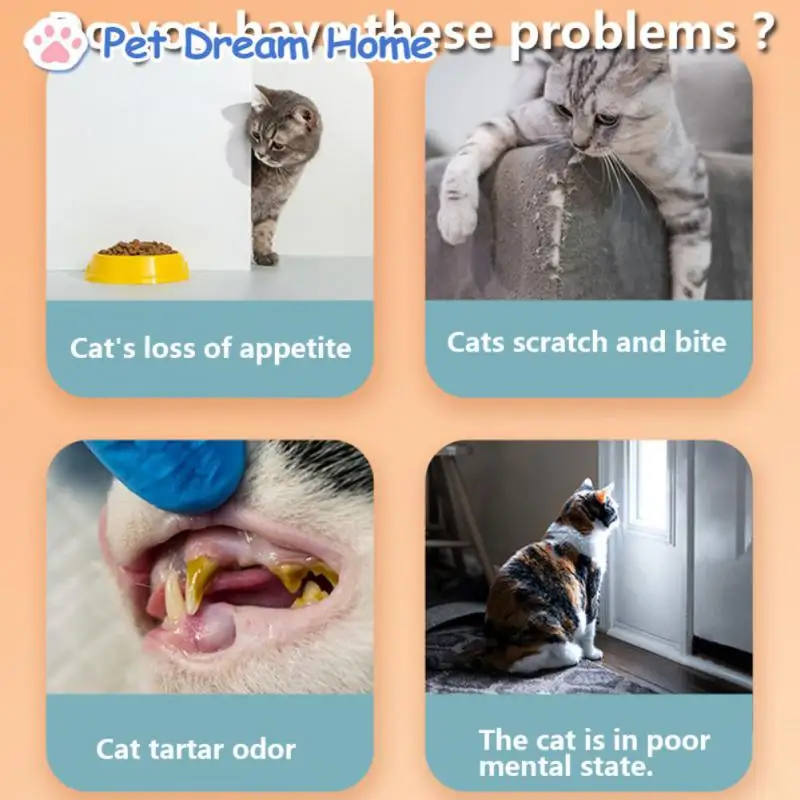 

Toys For Cats Wall Mount Self-adhesive Cat Accessories 360 Degree Rotation Natural Catnip Ball Set Cat Treat Toys Snack