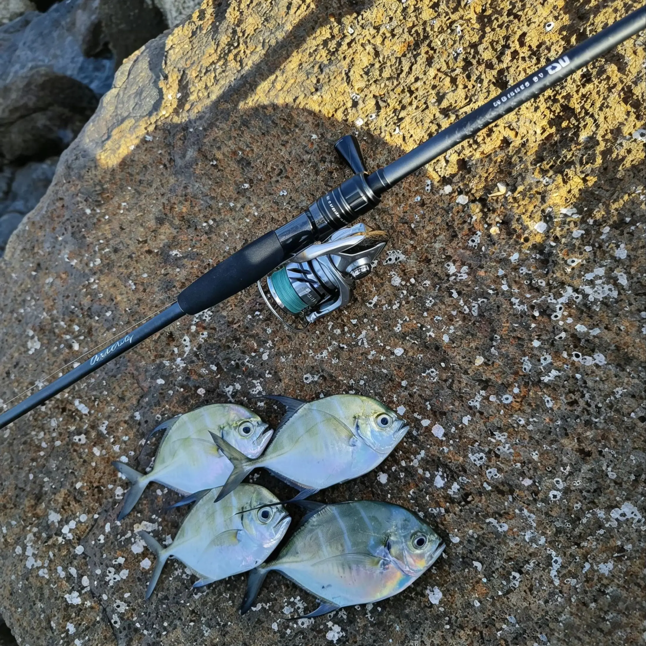 Удилище спиннинговое TSURINOYA UltraLight DEXTERITY S6102UL S762L 2.08м 2.28м MEBARU с кольцами FUJI A, 2 секции, строй XF (art.: 3920db06980fc) - 3920db06980fc