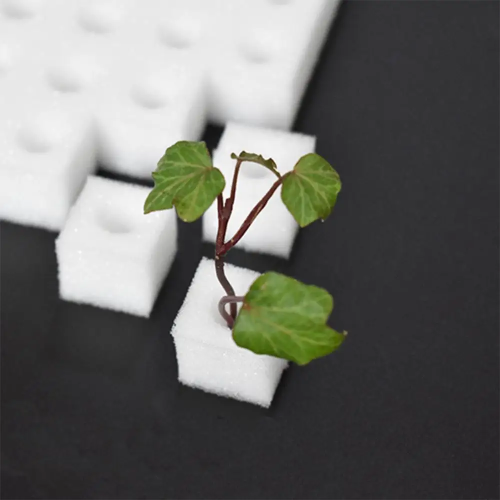 

Hydroponic Sponge Block 100 Pcs Water Soilless Cultivation Culture Planting Seedling Nursery Germination Tools Pots Vegetab X4P9