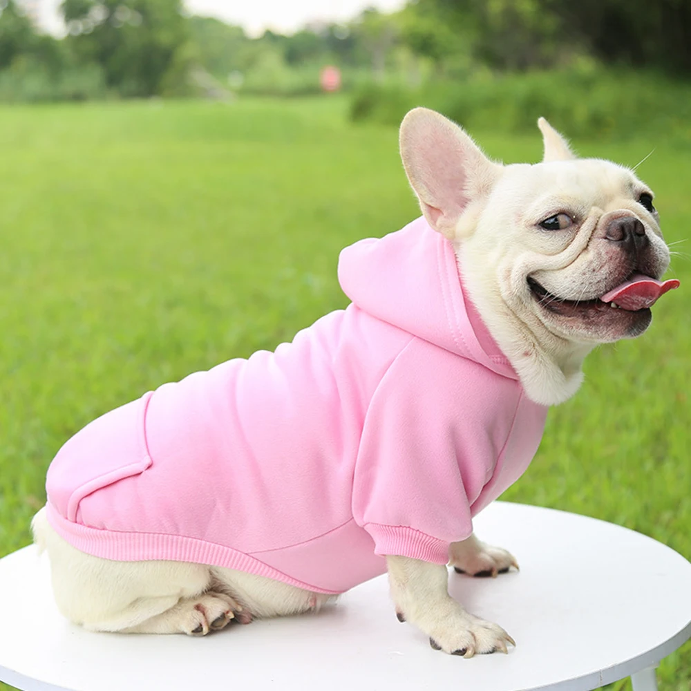 

New Arrival Dogs Jacket Coat Cotton Solid Color Teddy Apparel Pet Cloth Solid Color Teddy Apparel Fashionable Sports Hoodie