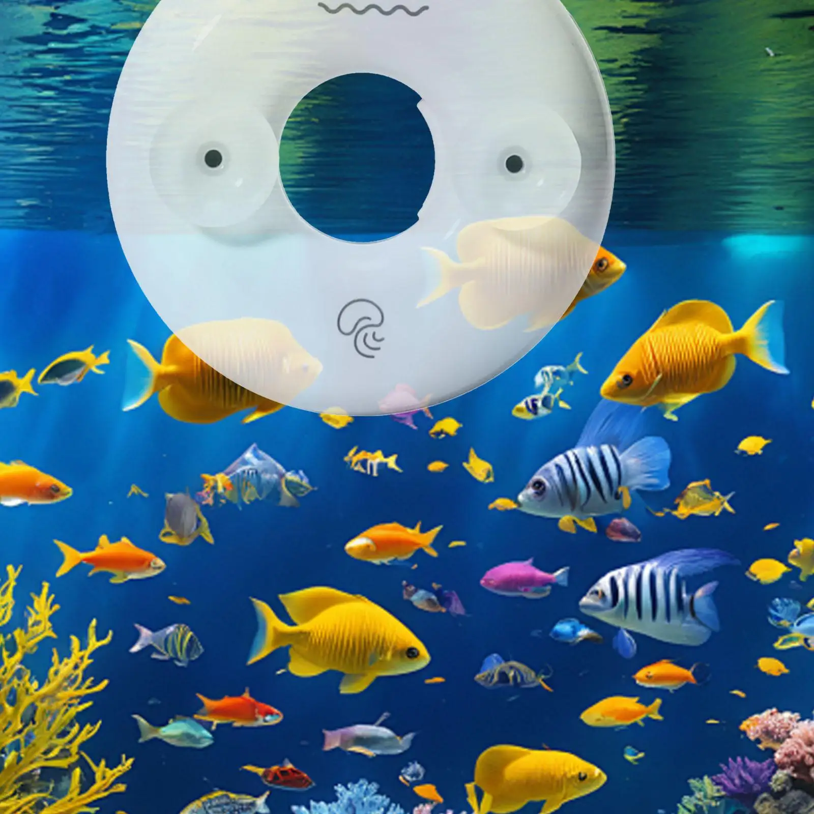 Инкубатор для яиц рассола компактный инкубатор инкубатора аквариума рыб простой