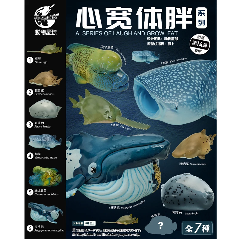 

Animal Planet A SERIES OF LAUGH AND GROW FAT Ocean Chapter Vlo.14 Pristis Spp Carcharias Taurus Phoca Largha Rhincodon Typus