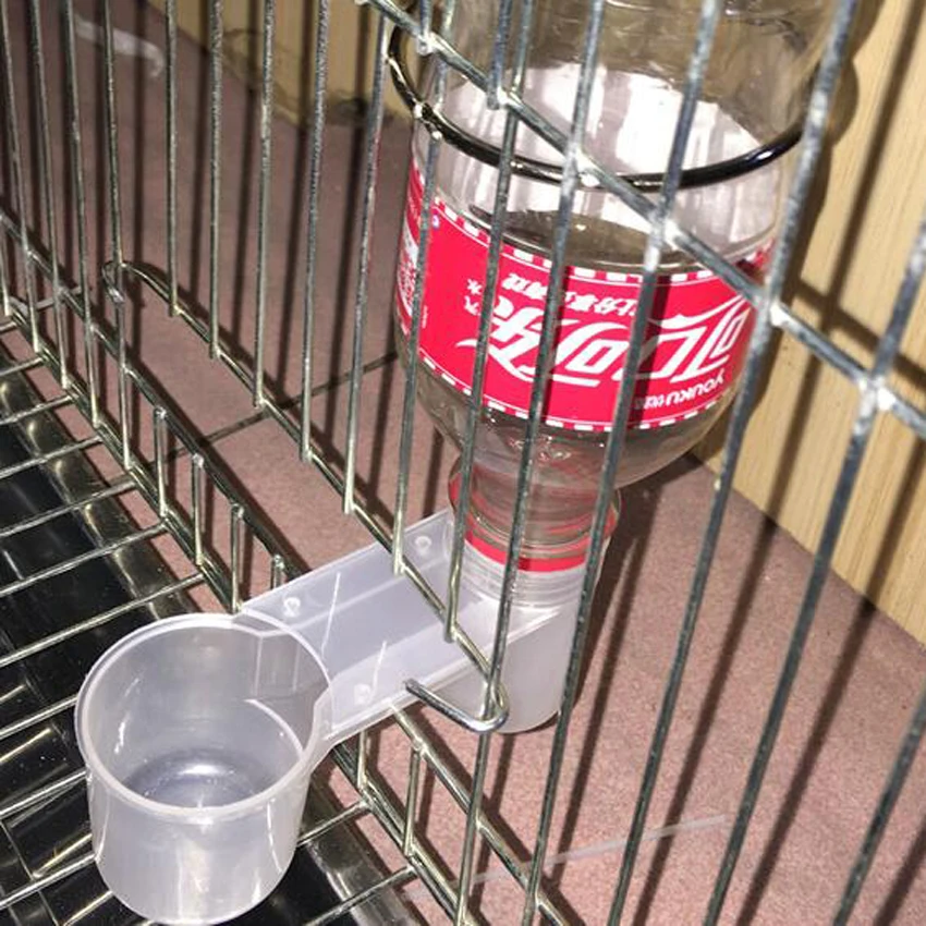 Water Bottle Cup Cat Chicken Pigeon Parrot Hamster Double No