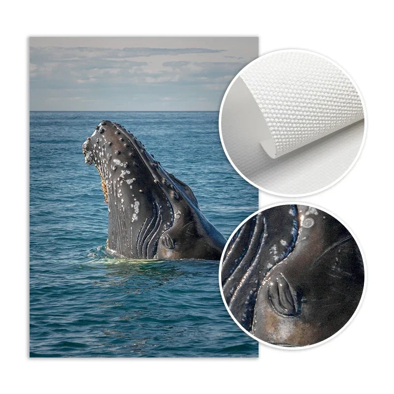 Плакаты на холсте с изображением морских КИТ яхты морской рыбалки