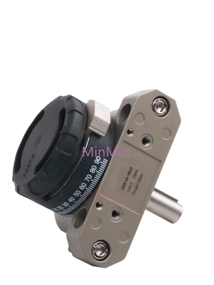 

Оригинальный поворотный цилиндр лезвия DSM