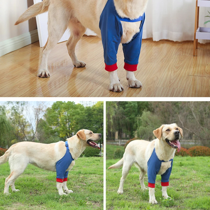 Скидка Наколенники на передние ножки для собак, бандаж для восстановления кожи, дышащая защита от боли, поддержка плеч, локтей, планшетов, планшето...