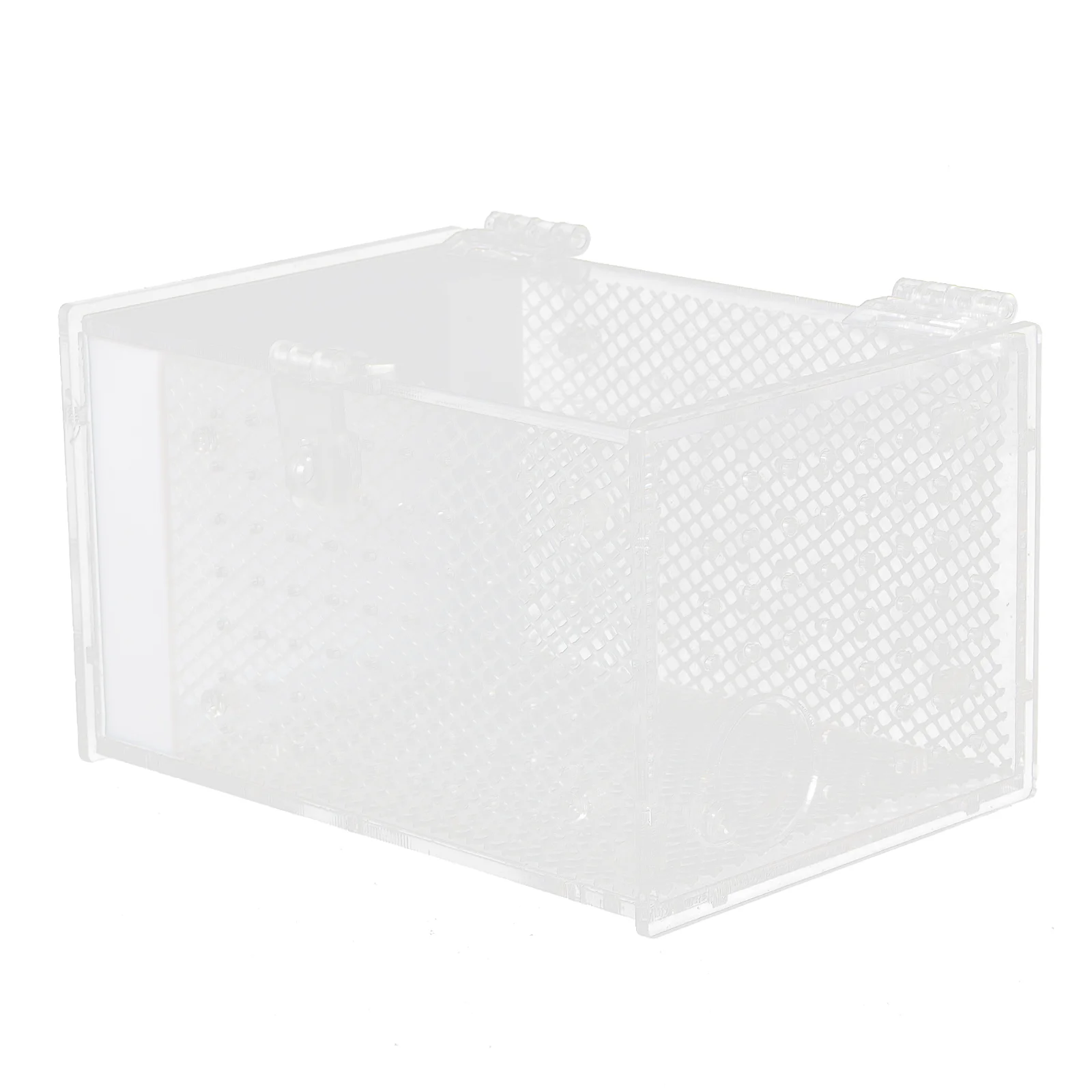 Ящик для разведения богомола белый держатель рептилий видимый чехол кормления